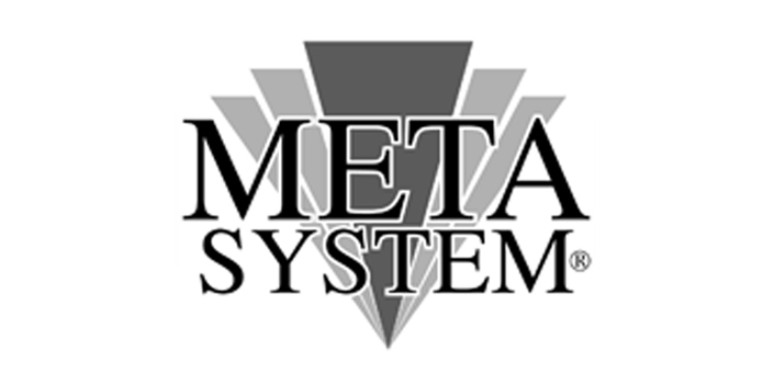 Metasystem